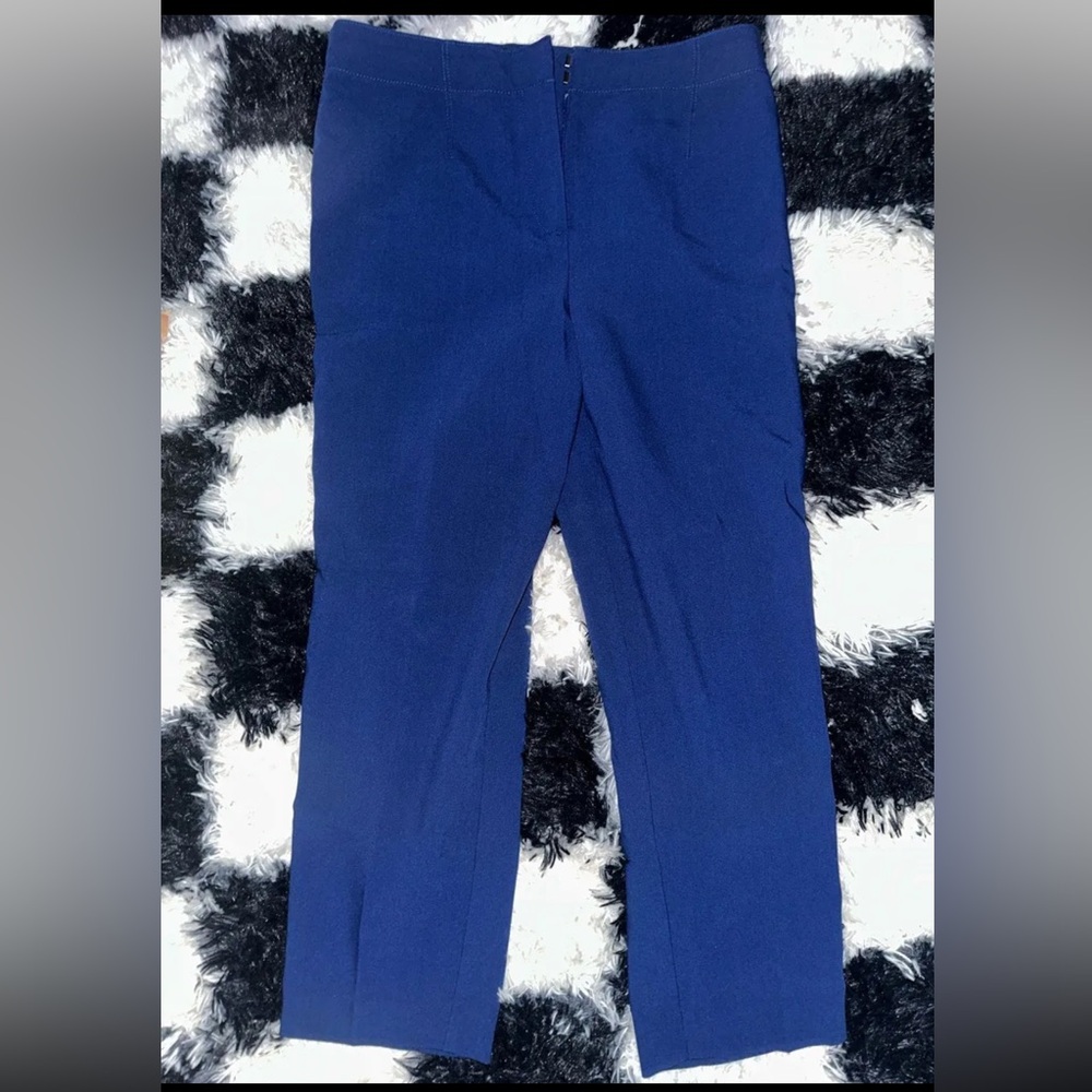 Ann Taylor Women’s petite Navy Blue Casual Pants